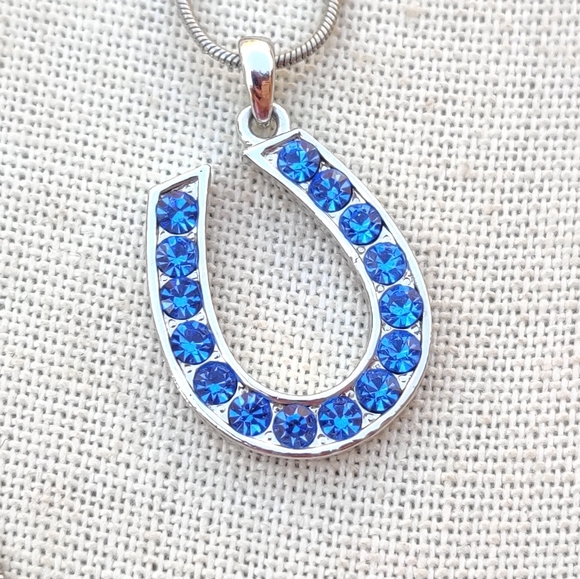 Jewelry - 🧲Blue Sapphire crystal lucky horseshoe necklace MUST BUNDLE